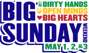 15Big Sunday logo